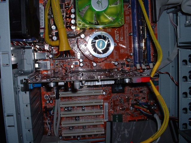 175.jpg